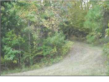 11 Renshaw Road Yazoo City, MS 39194 - Photo 5 of 9 Photo 5
