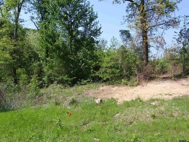 a view of a yard with plants and a tree