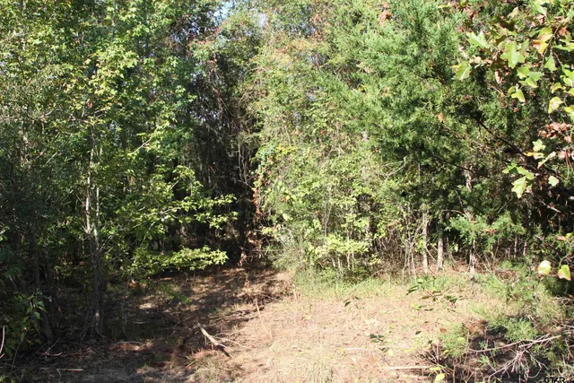 $59,900 | 19963 Highway 31 West, Tyler, TX 75705