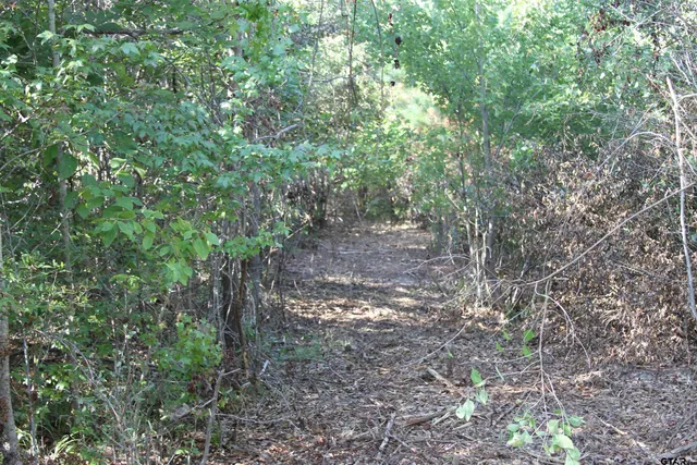 $59,900 | 19963 Highway 31 West, Tyler, TX 75705