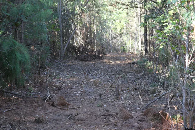 $59,900 | 19963 Highway 31 West, Tyler, TX 75705