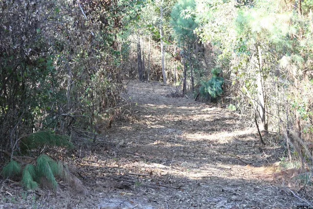 $59,900 | 19963 Highway 31 West, Tyler, TX 75705