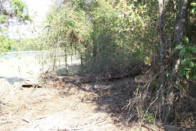 $59,900 | 19963 Highway 31 West, Tyler, TX 75705