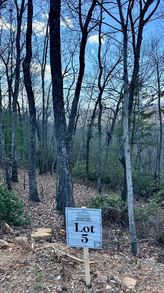 Lot 5 Blue Horizon Drive Blue Ridge, GA 30513 - Photo 10 of 18 Gallery Image 10
