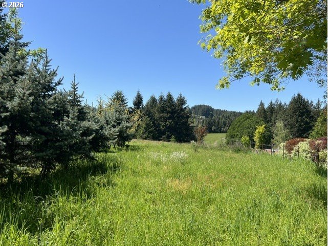 32784 Southwest Laurelview Road Hillsboro, OR 97123 - Photo 10 of 43