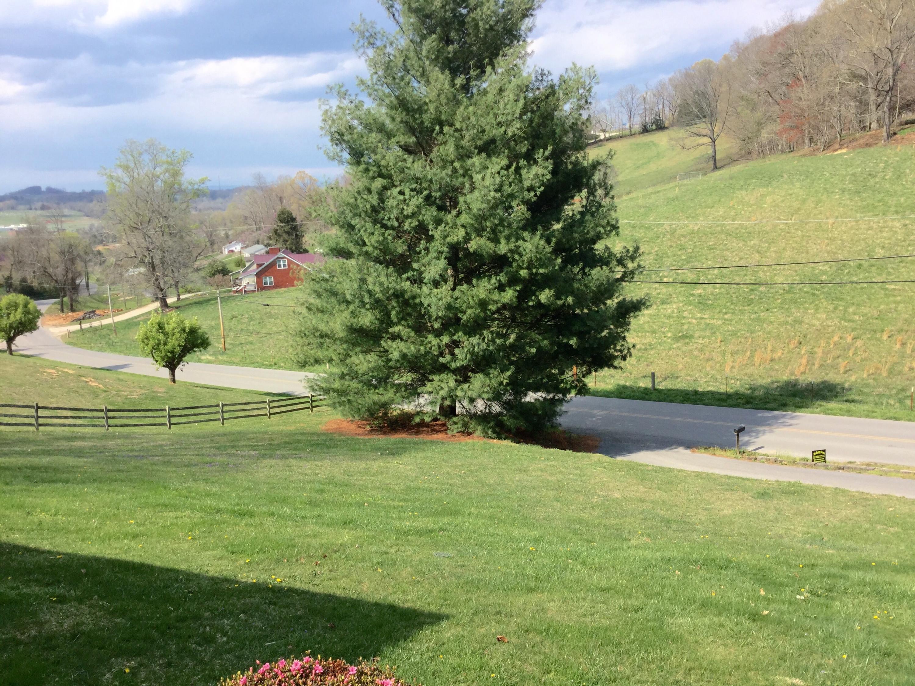 1006 Blue Top Road Tazewell, TN 37879 - Photo 11 of 30 image