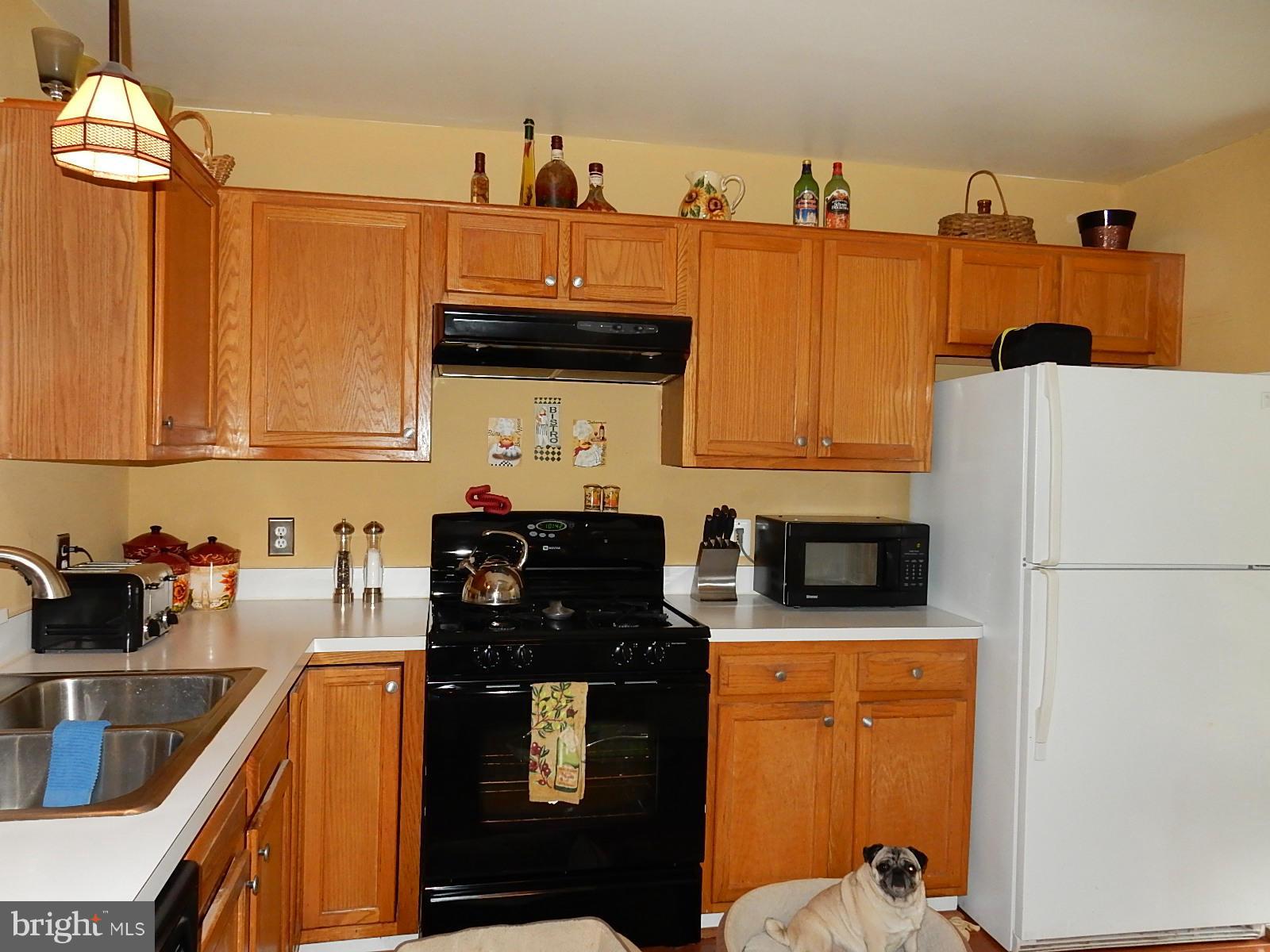 325 Millbrook Terrace Leesburg, VA 20176 - Photo 3 of 20 a kitchen with stainless steel appliances a refrigerator a sink a stove and white cabinets