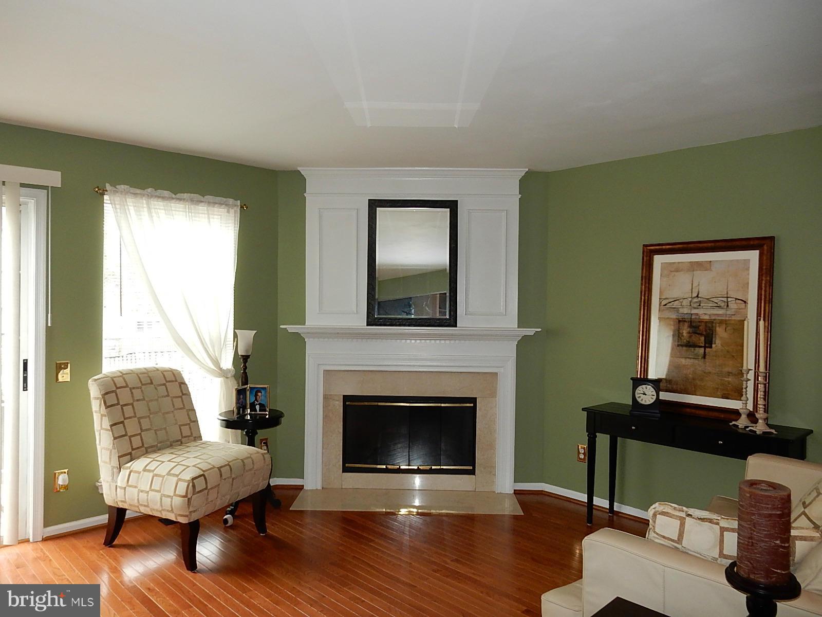 325 Millbrook Terrace Leesburg, VA 20176 - Photo 10 of 20 a living room with furniture and a fireplace