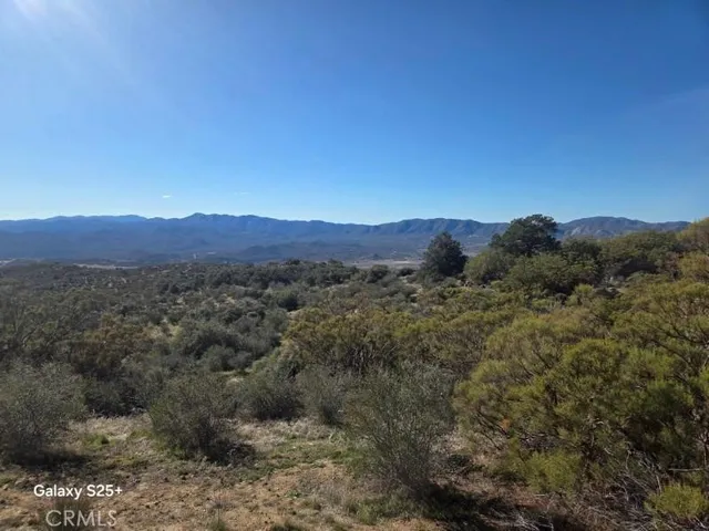a view of a lush green field with mountains in the background