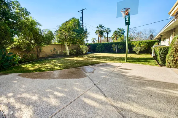 a view of a backyard with palm trees