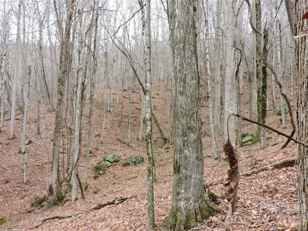 $89,000 | 191 Bens Bend, Bakersville, NC 28705