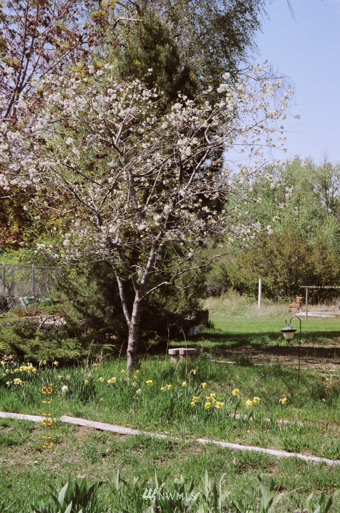 7091 Manastash Road Ellensburg, WA 98926 - Photo 13 of 15 Gallery Image 13