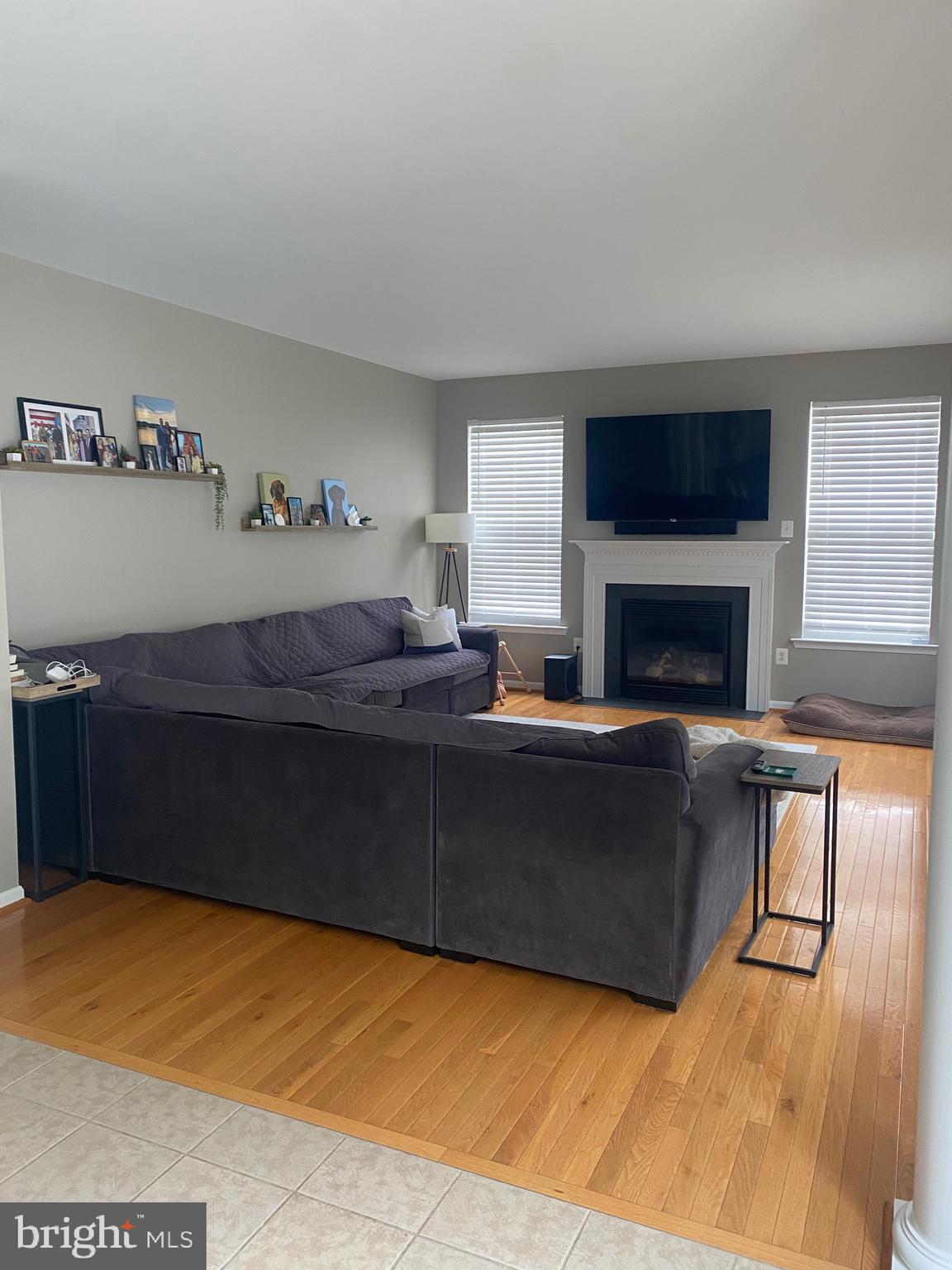 94 Rydal Circle Magnolia, DE 19962 - Photo 9 of 23 a living room with furniture and a fireplace