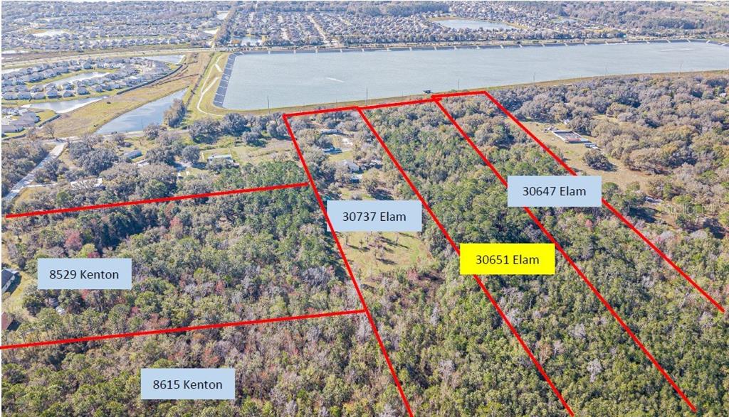 30651 Elam Road Wesley Chapel, FL 33545 - Photo 6 of 21