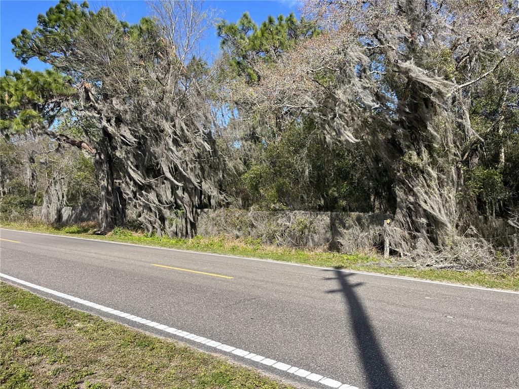30651 Elam Road Wesley Chapel, FL 33545 - Photo 8 of 21 a view of a road with a yard