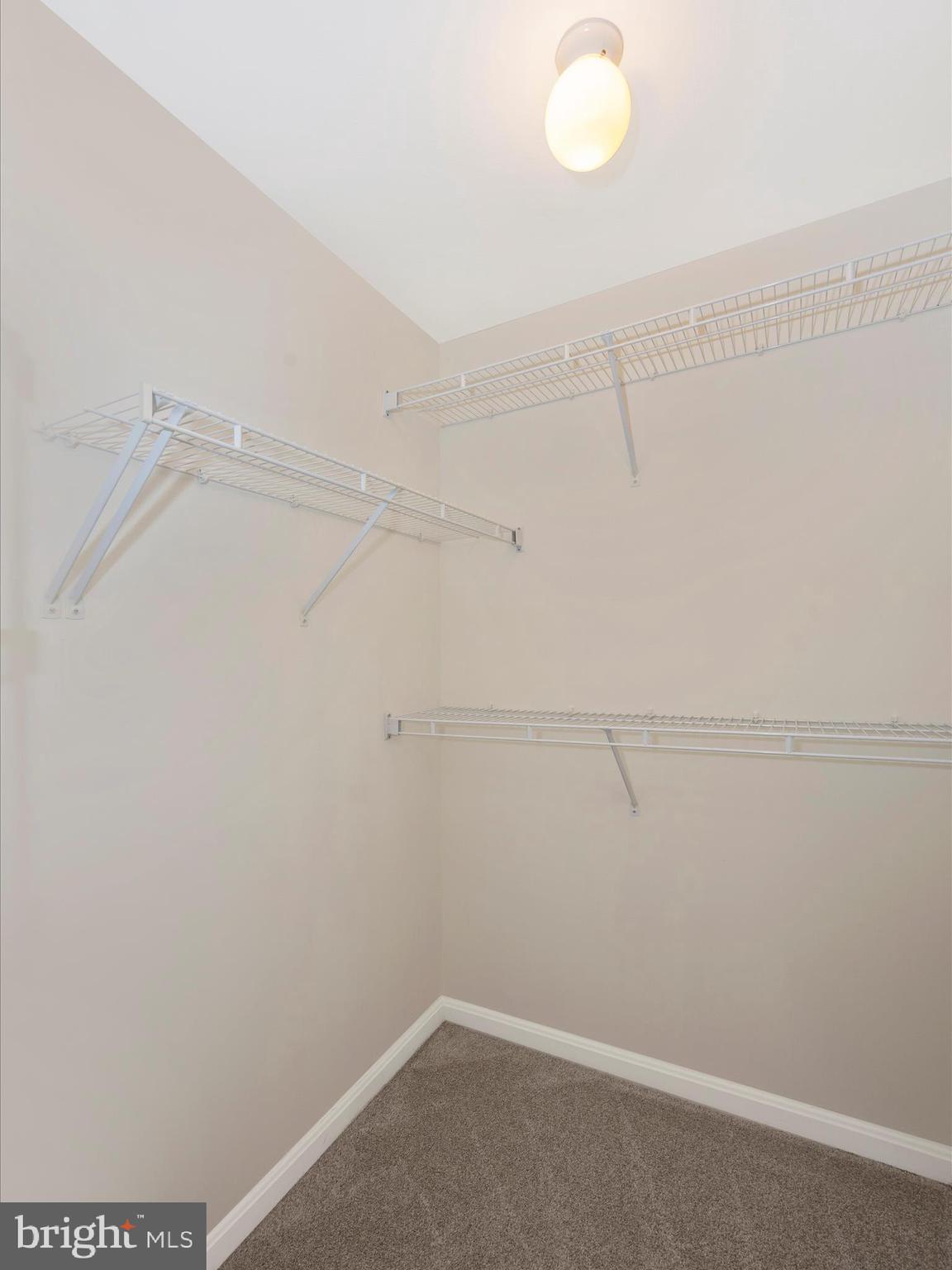12020 Amber Ridge Circle, Unit B203 Germantown, MD 20876 - Photo 15 of 39 Walk in Closet