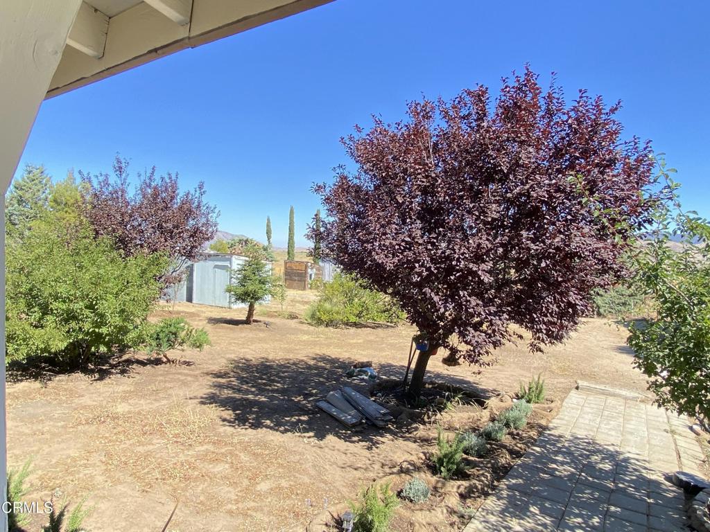 18300 Grant Place Tehachapi, CA 93561 - Photo 27 of 28 a view of a yard with plants and trees