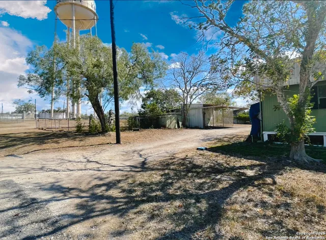 a view of a yard with plants and trees