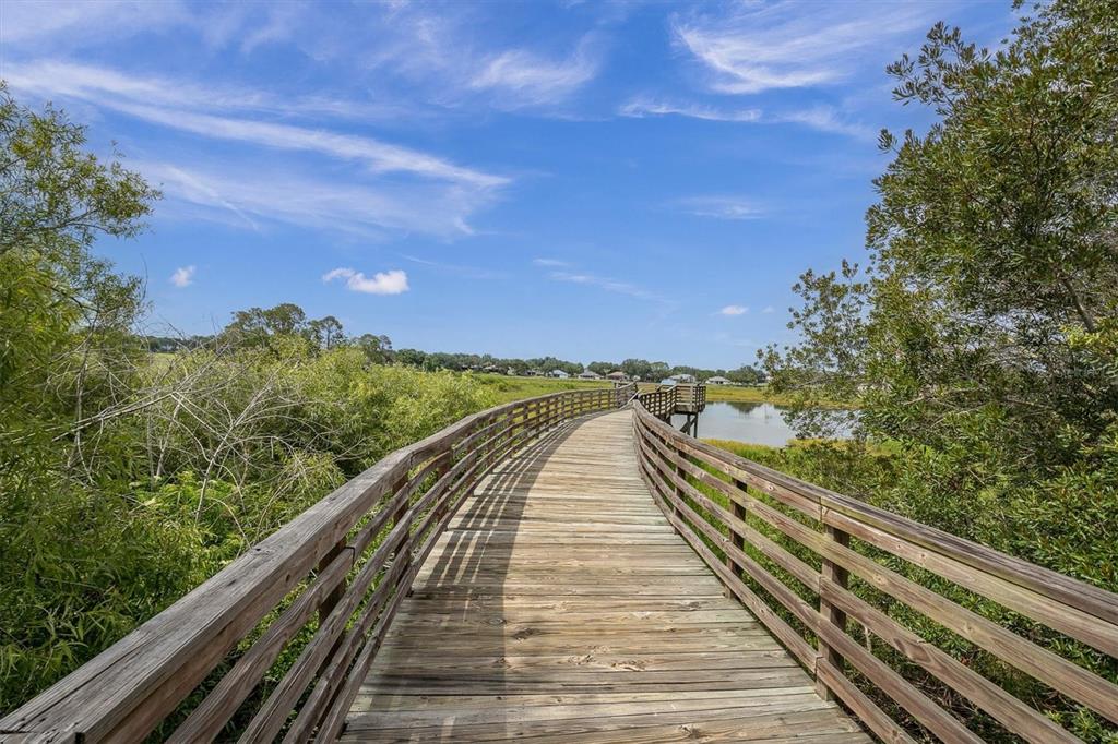 11634 Wheatfield Loop Hudson, FL 34667 - Photo 56 of 65
