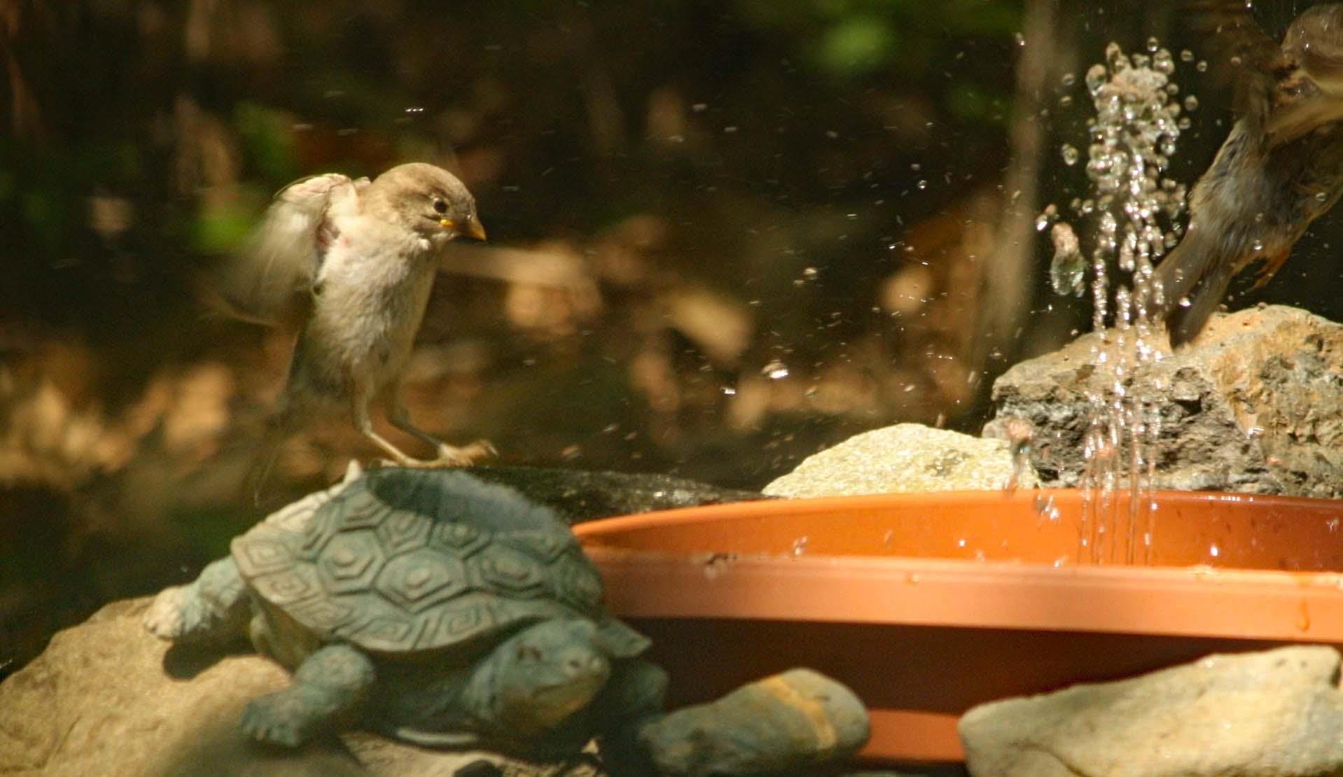 50 Brookside Drive, Unit 3 Exeter, NH 03833 - Photo 35 of 38