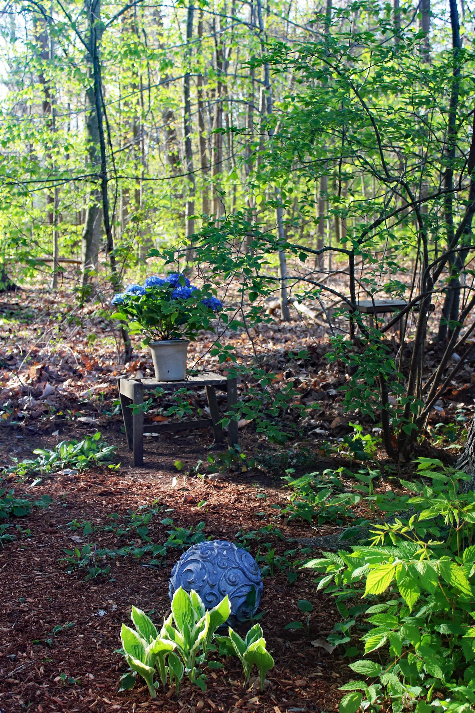 50 Brookside Drive, Unit 3 Exeter, NH 03833 - Photo 37 of 38