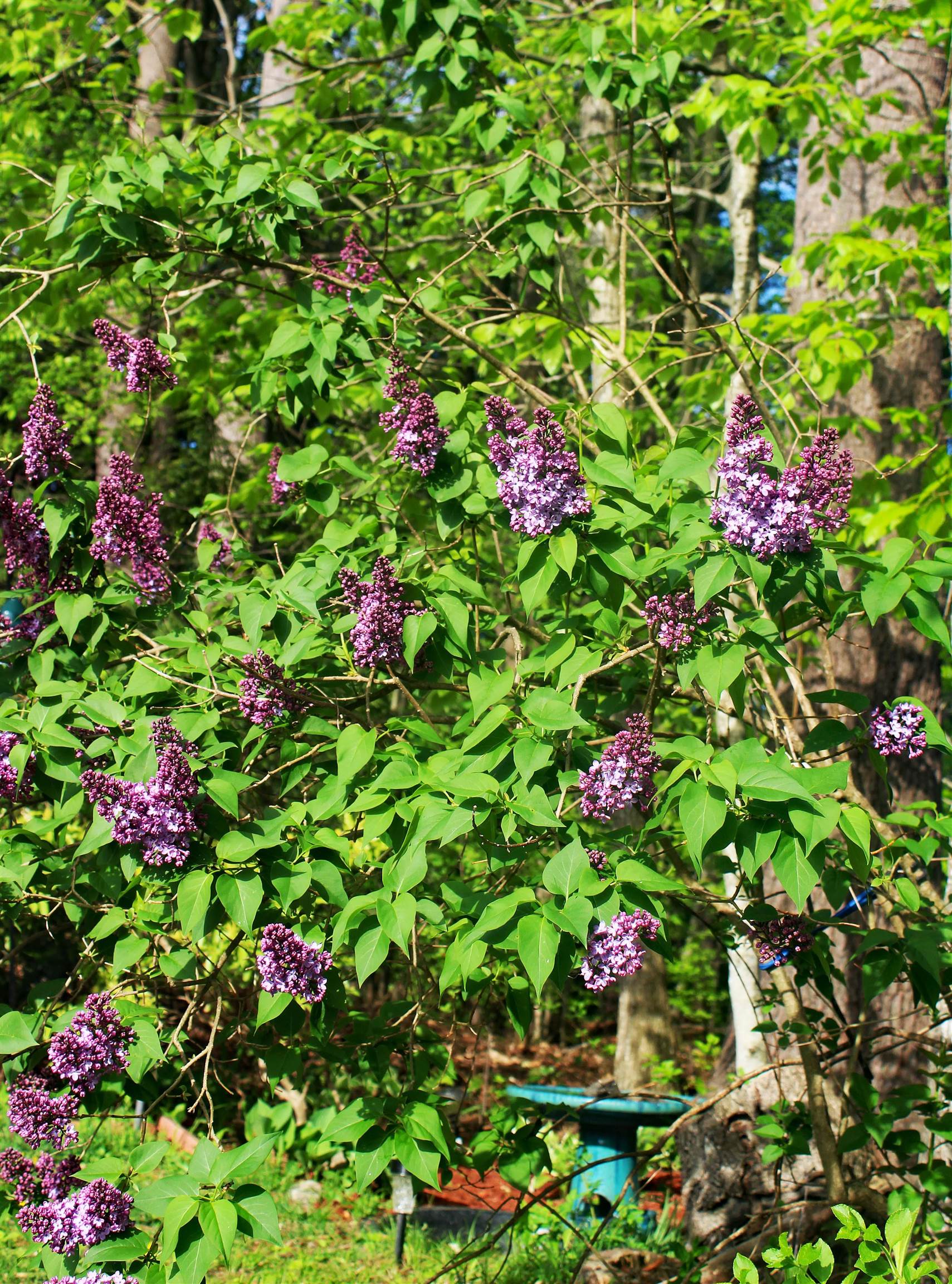 50 Brookside Drive, Unit 3 Exeter, NH 03833 - Photo 38 of 38