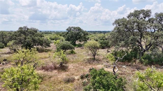 0 County Road 103 Llano, TX 78643 - Photo 4 of 7 a view of a dry yard with lots of bushes
