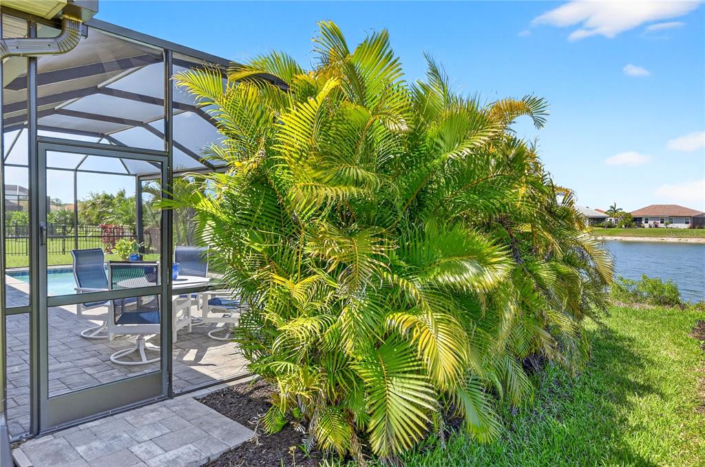 11794 Sistine Lane Venice, FL 34293 - Photo 54 of 93