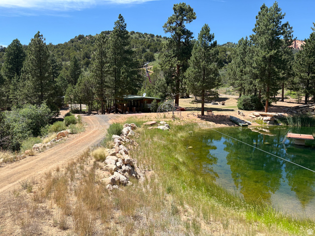 700 West Gravel Road North Kanab, UT 84741 - Photo 44 of 63 Wood-sided cabin, surrounded by mature pine trees, featuring a natural pond with a floating dock