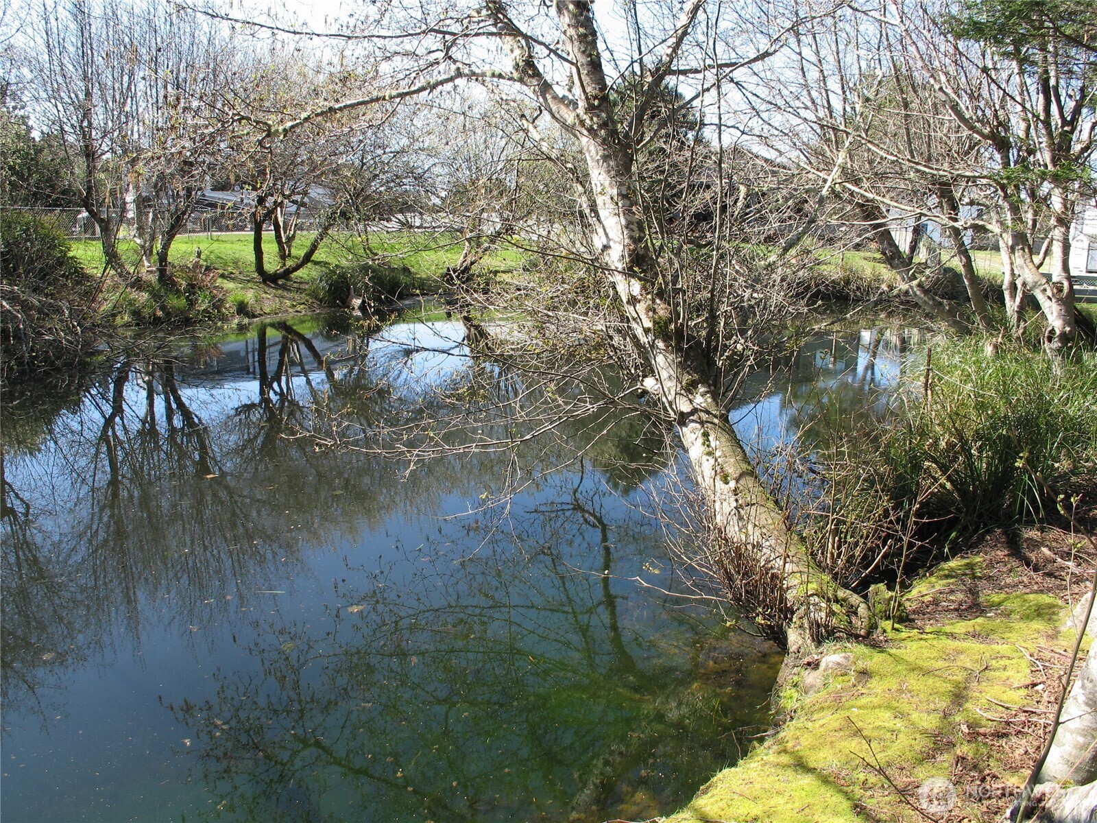 33117 H Place Ocean Park, WA 98640 - Photo 19 of 25 a backyard of a house with lots of green space