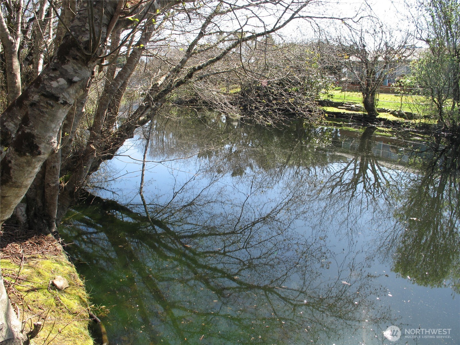 33117 H Place Ocean Park, WA 98640 - Photo 20 of 25 a backyard of a house with lots of green space