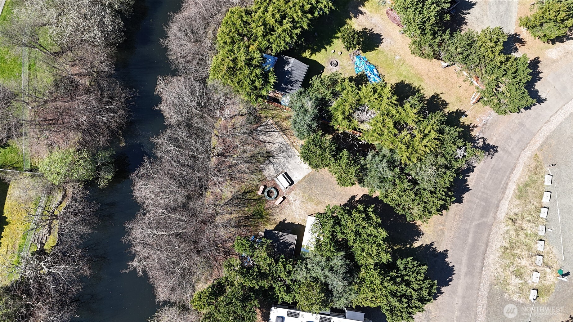 33117 H Place Ocean Park, WA 98640 - Photo 22 of 25 a plant that is in a garden