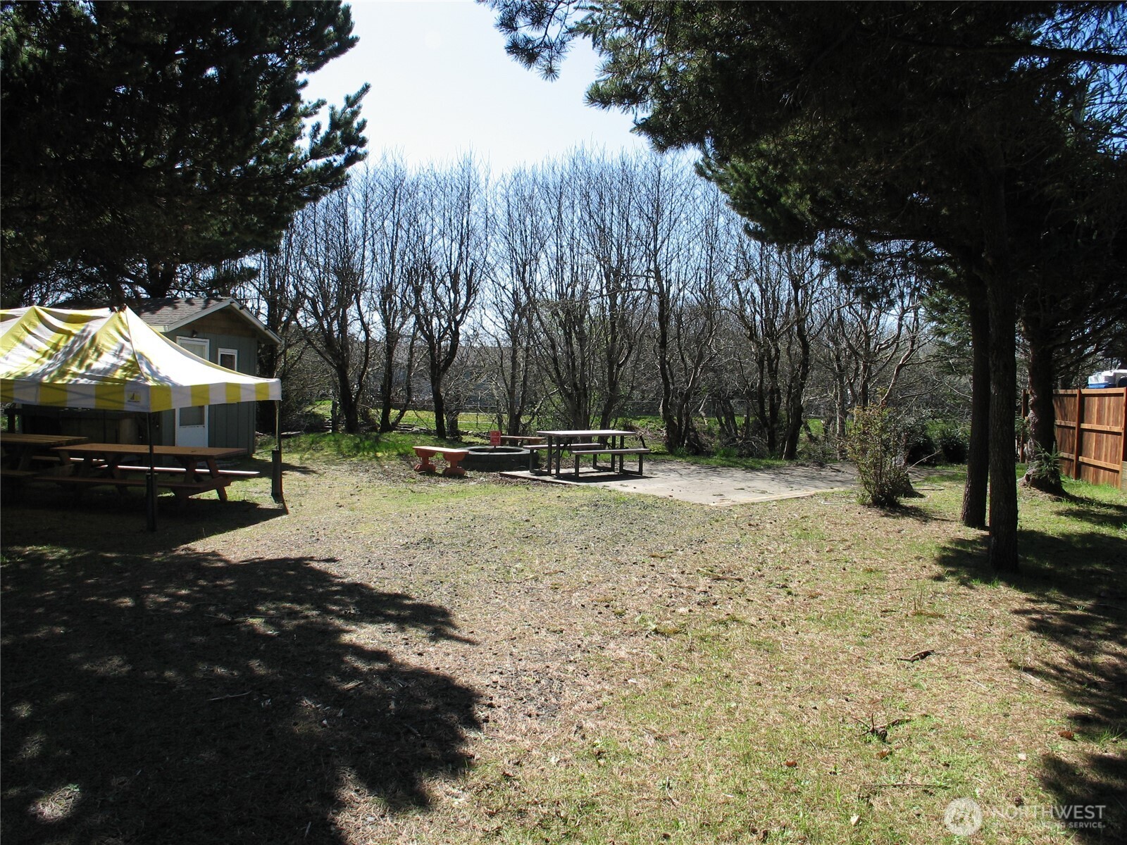 33117 H Place Ocean Park, WA 98640 - Photo 5 of 25 a view of outdoor space with trees