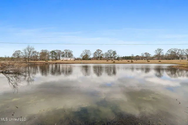 $990,000 | 53319 Highway 60, Unit 53319, Bogalusa, LA 70427