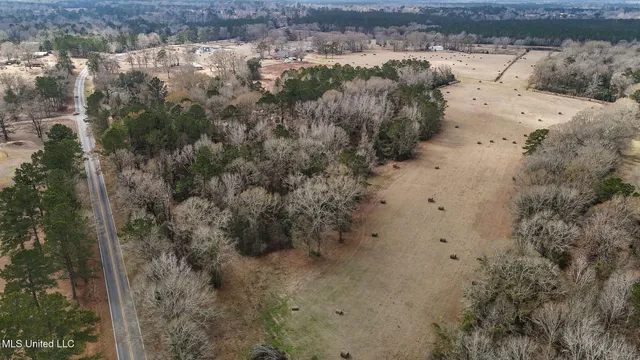 $990,000 | 53319 Highway 60, Unit 53319, Bogalusa, LA 70427