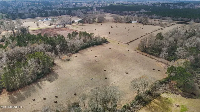 $990,000 | 53319 Highway 60, Unit 53319, Bogalusa, LA 70427