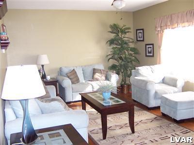 529 Jacobsburg Road Nazareth, PA 18064 - Photo 6 of 9 a living room with furniture and a potted plant