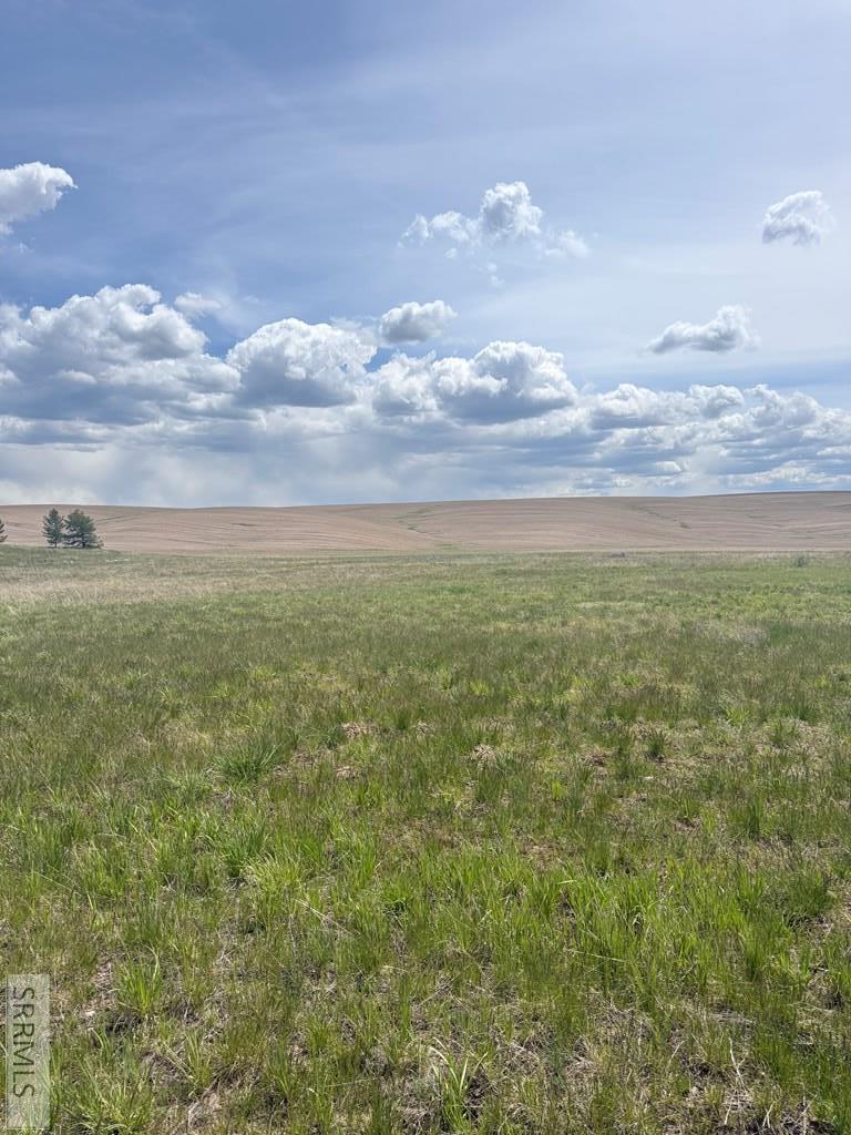 4432 Chickadee Lane Ashton, ID 83420 - Photo 5 of 5