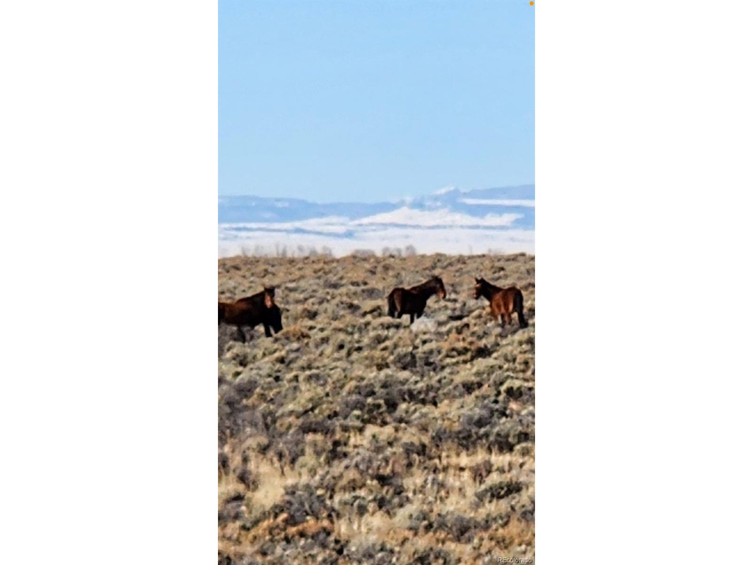 73 Old Stage Coach Road San Luis, CO 81152 - Photo 11 of 13
