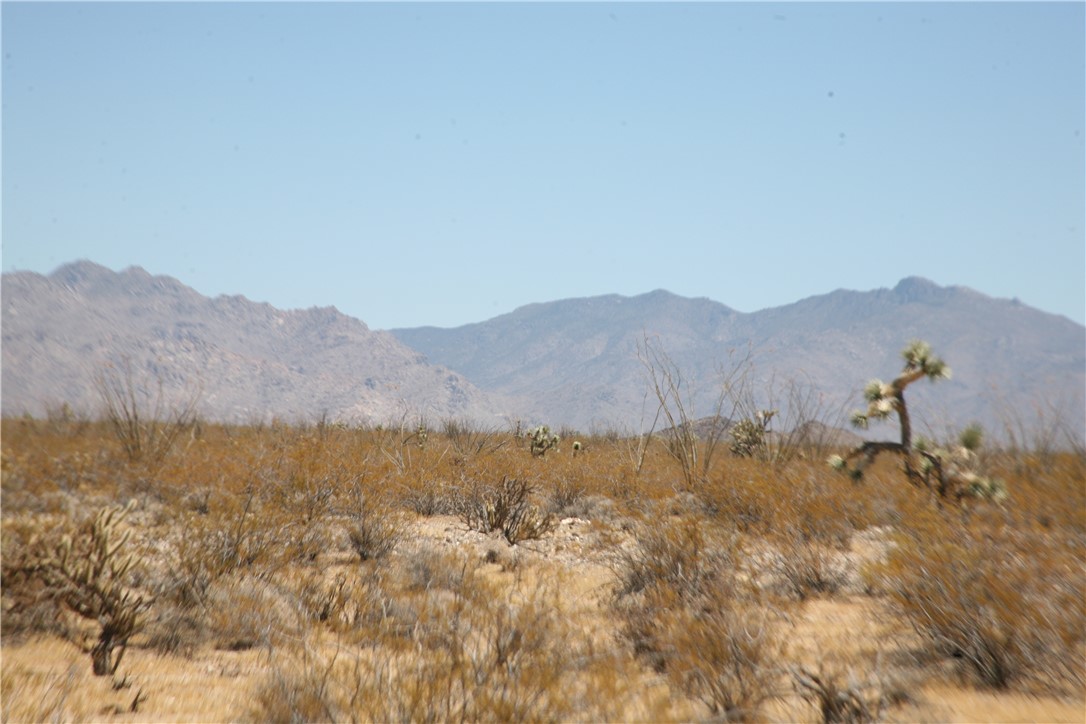 207-17-097 South Cameron Road Yucca, AZ 86438 - Photo 13 of 34