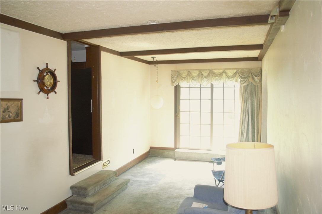 3838 Austin Road Geneva, OH 44041 - Photo 3 of 24 Breezeway