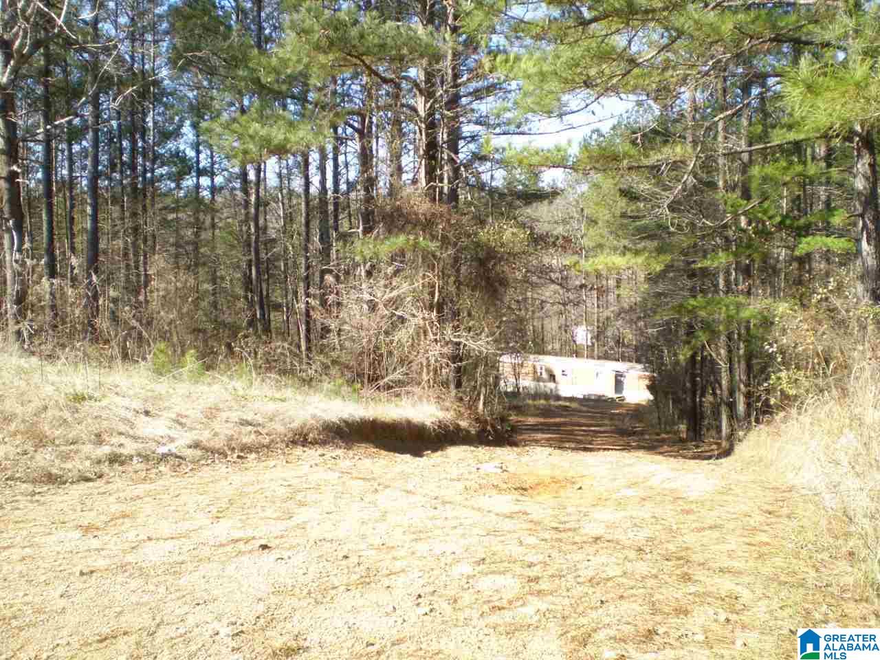 170 Pine Ridge Lane, Unit TRACT A Pell City, AL 35125 - Photo 8 of 15