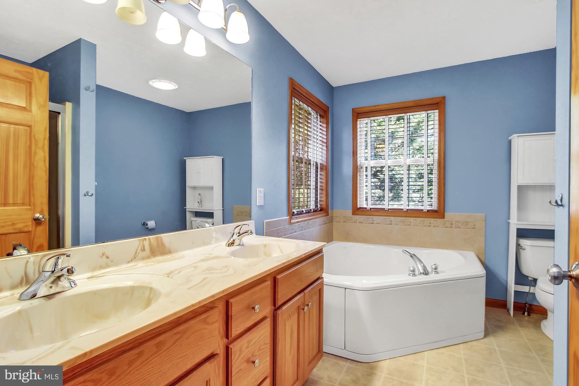1170 Saddleback Road York, PA 17408 - Photo 15 of 31 Master Bathroom w/ Garden Tub & Double Sinks
