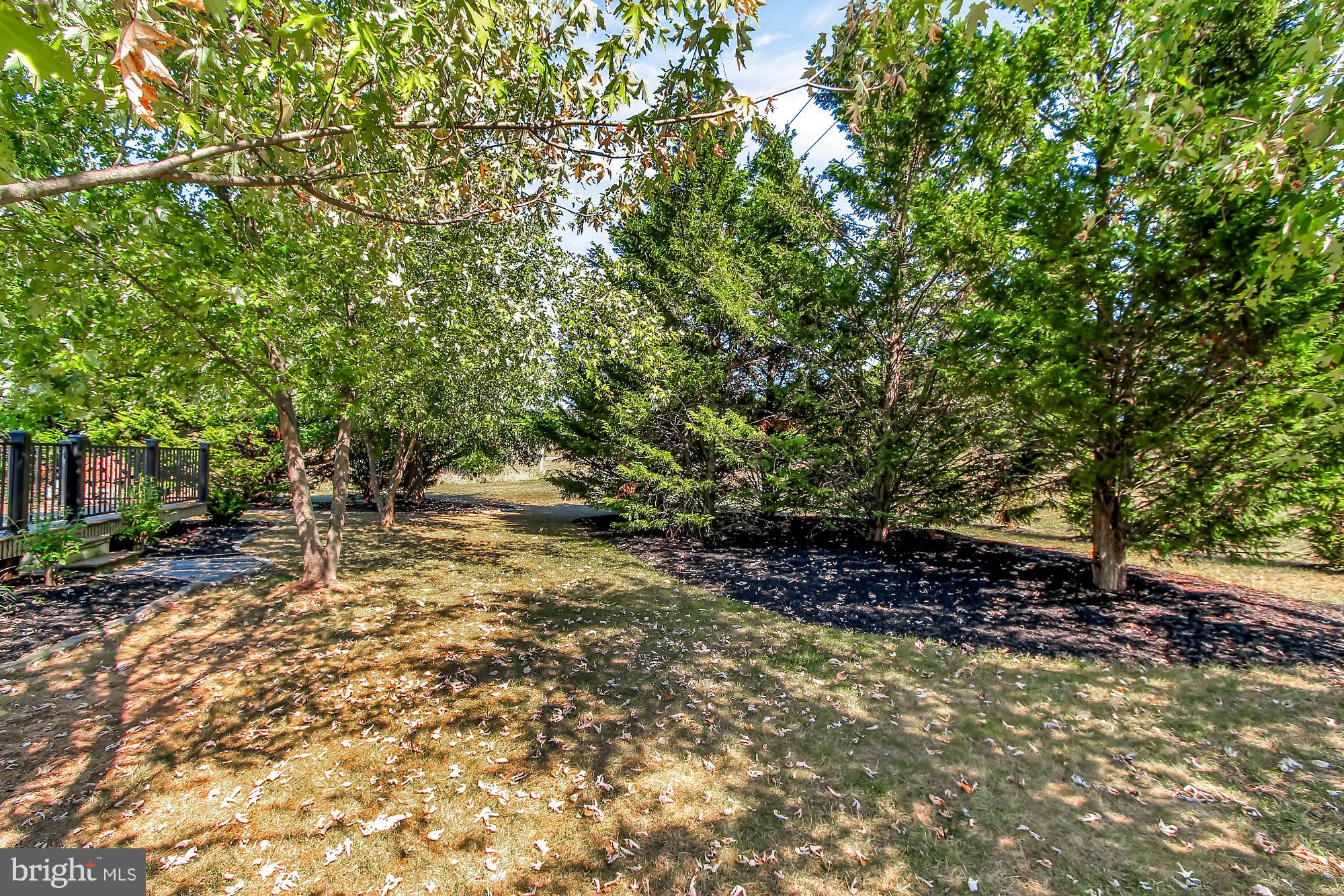 1170 Saddleback Road York, PA 17408 - Photo 27 of 31 Private Backyard Area