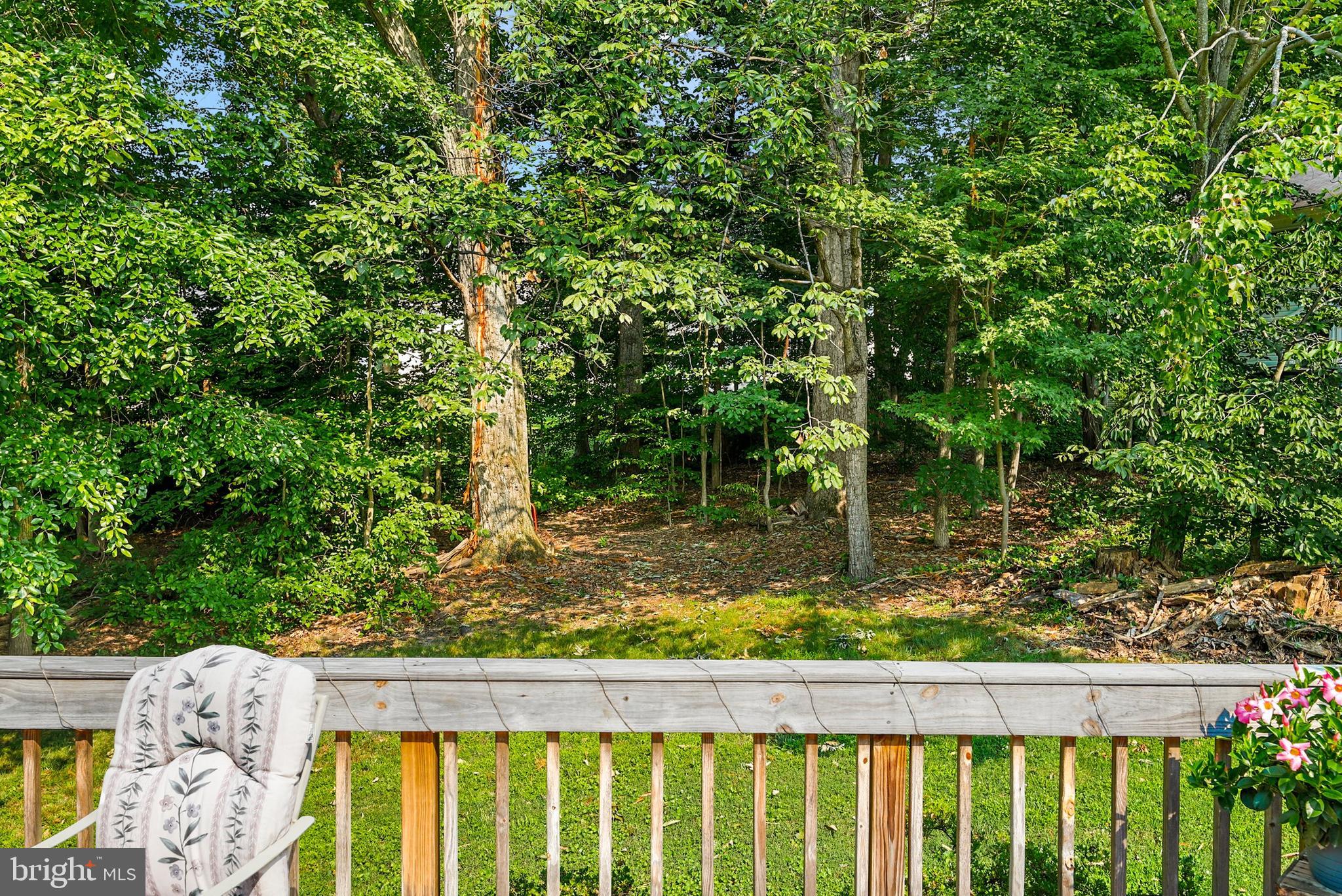 8062 Winding Way Court Springfield, VA 22153 - Photo 29 of 35 Gallery Image 29