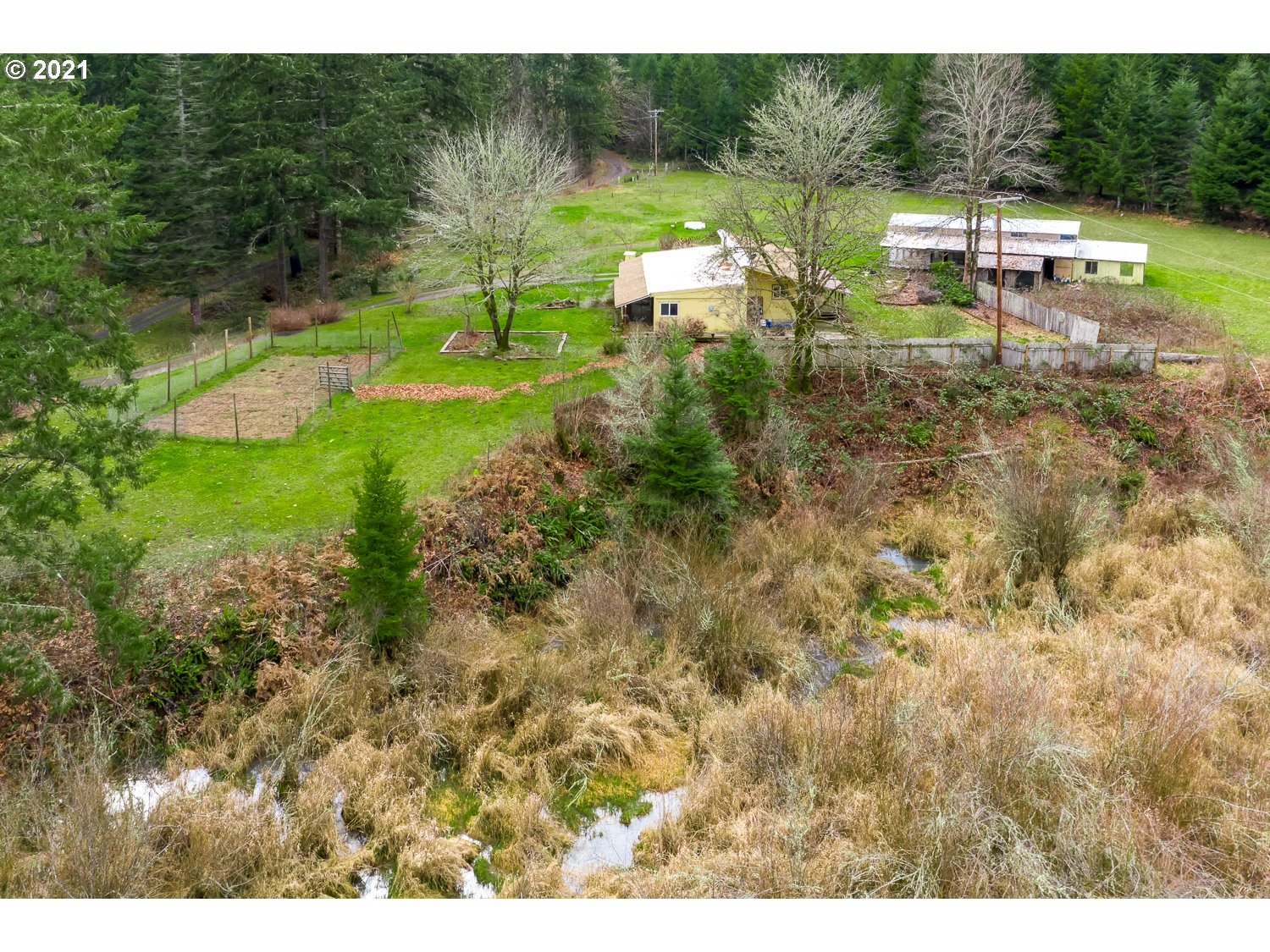 178 Phillips Ranch Road Yoncalla, OR 97499 - Photo 6 of 32 Gallery Image 6