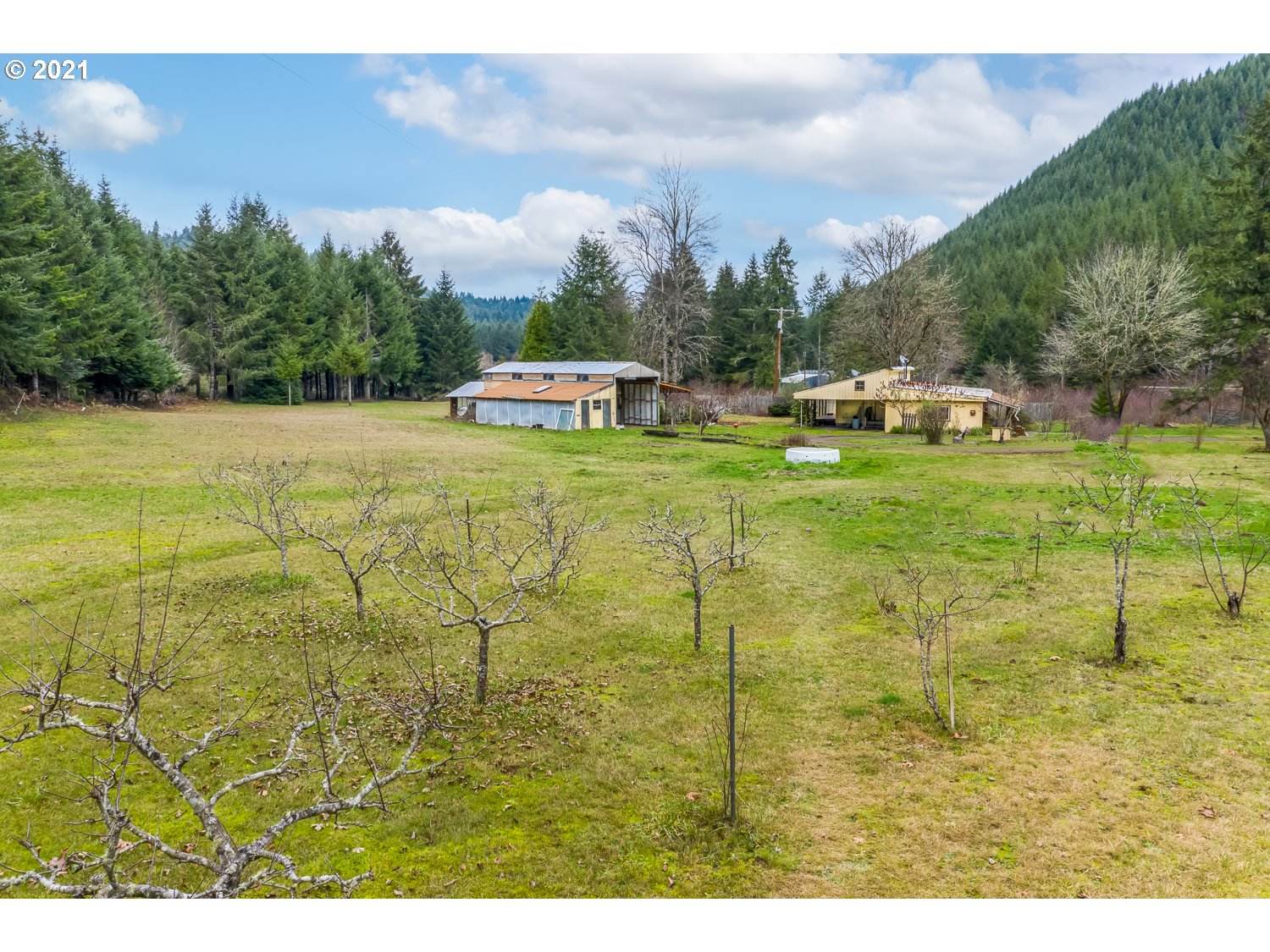 178 Phillips Ranch Road Yoncalla, OR 97499 - Photo 10 of 32 Gallery Image 10