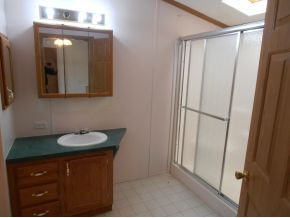 346 Rambling Road Jonesborough, TN 37659 - Photo 7 of 12 Master Bath
