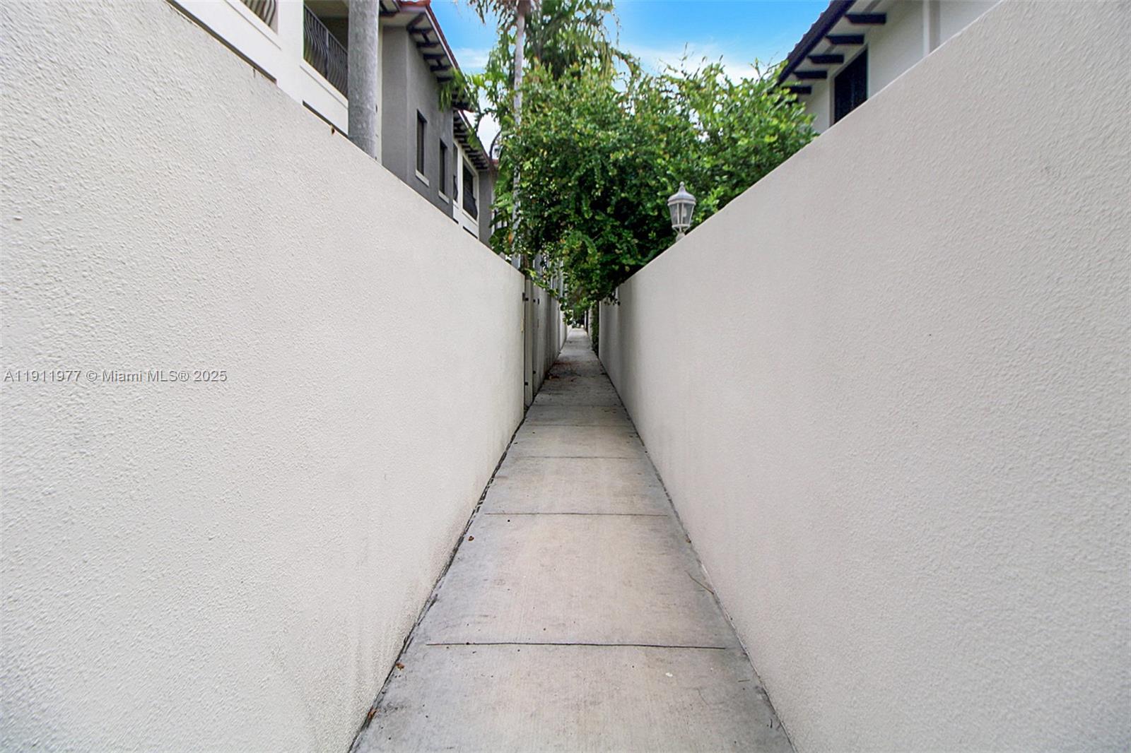 3204 Bird Avenue, Unit 119 Miami, FL 33133 - Photo 31 of 34 a potted plant sitting in front of a white door