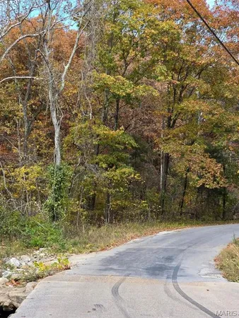 $59,999 | 0 Mineral Drive, Houston, MO 65483